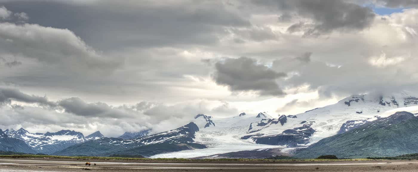 Bear Mountains