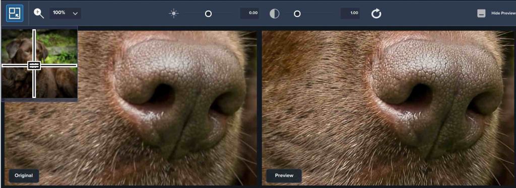 JPEG to RAW AI Nose