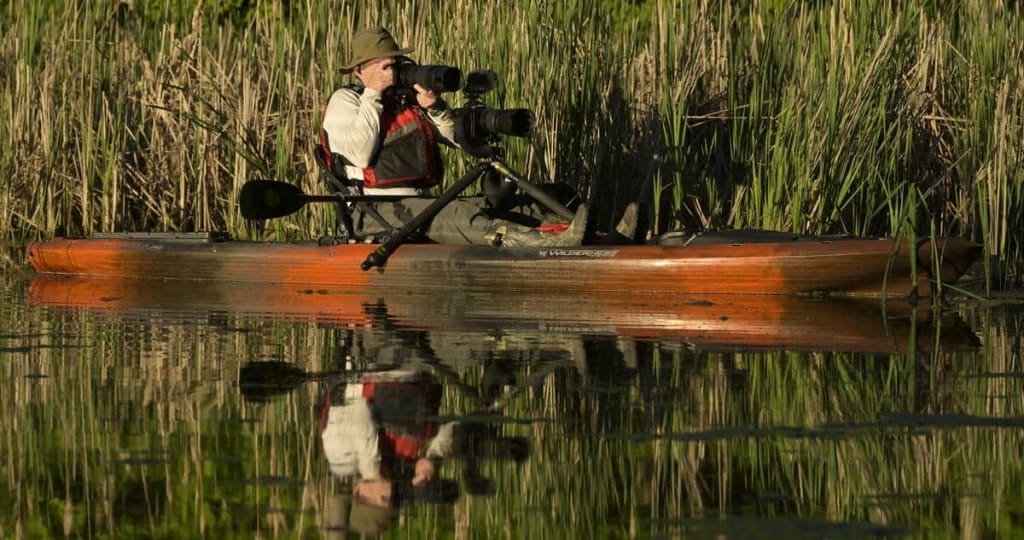 Photography From A Kayak  Complete Beginners Guide - Cool Wildlife