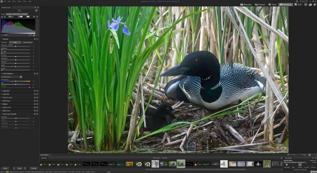 ACDSee Photo Studio Ultimate 2020 Review | Cool Wildlife