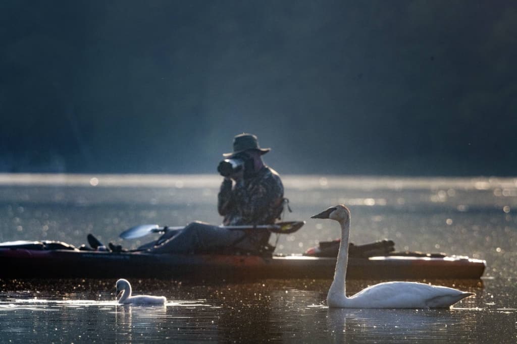 Bill Kayak Photography