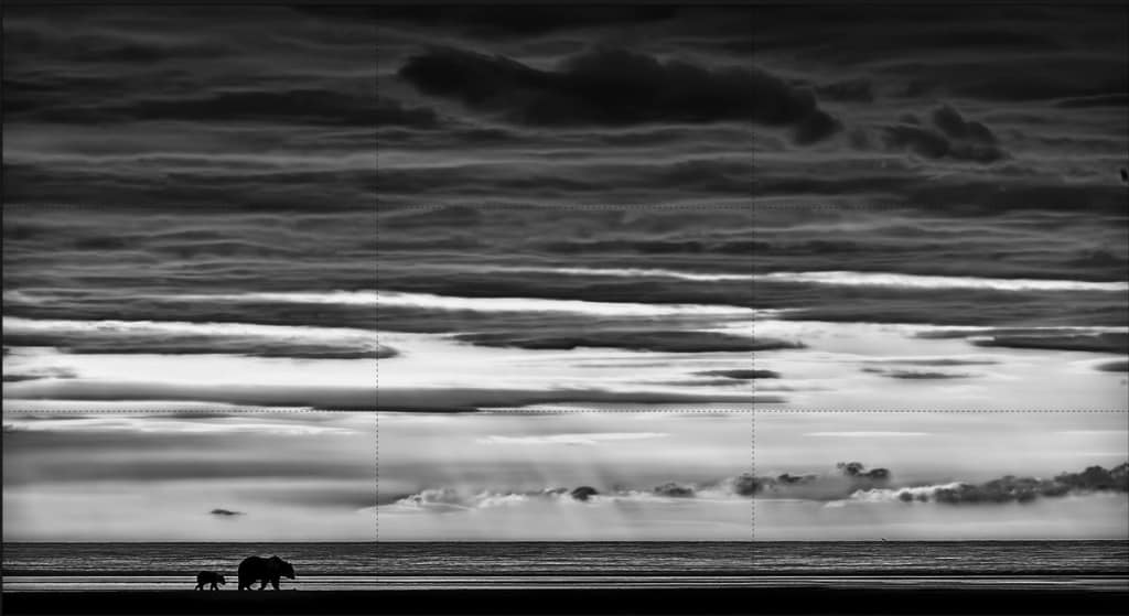 Rule of Thirds Grizzly Bear and Cub