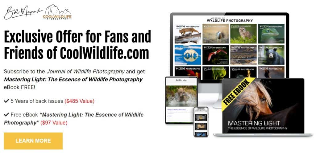 Journal of Wildlife Photography