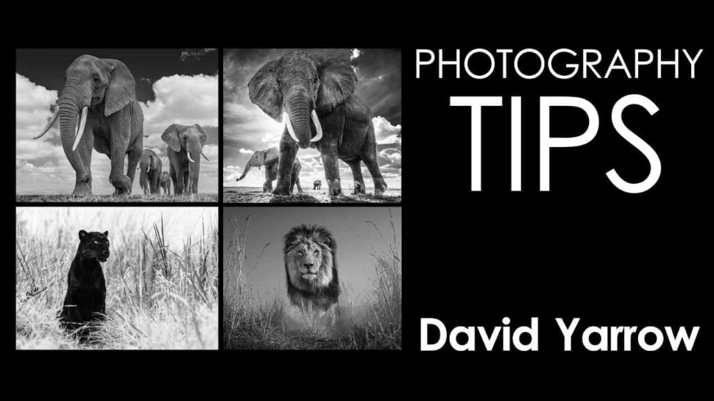 David Yarrow Photography MasterClasss