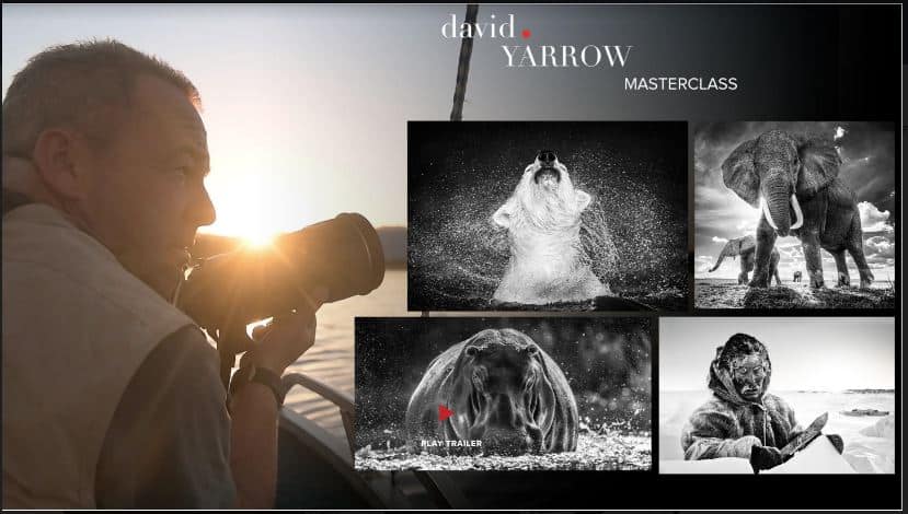 David Yarrow Photography MasterClass 2