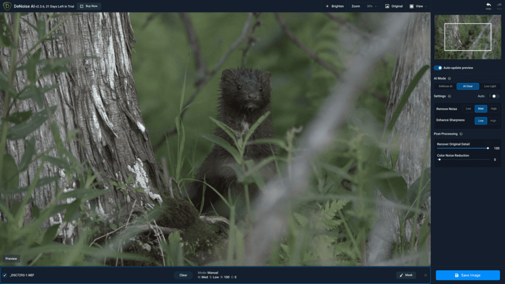 Topaz Labs Denoise AI Workflow Step By Step Guide - Cool Wildlife ...