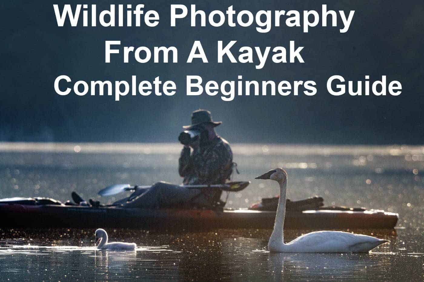 Wildlife Photography From A Kayak