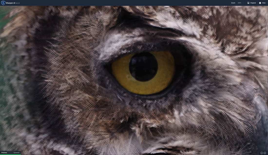 Topaz Owl Eye Out Of Focus