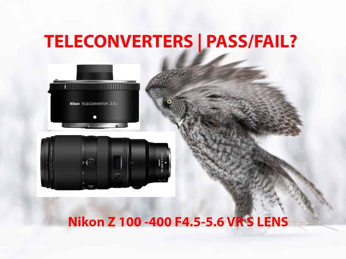 Nikon Z 100-400 | Teleconverter Field Test Z 1.4 & 2.0 - Cool Wildlife