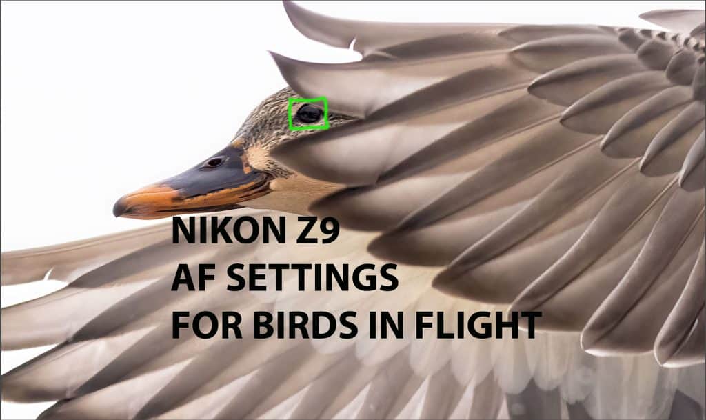 nikon z9 autofocus