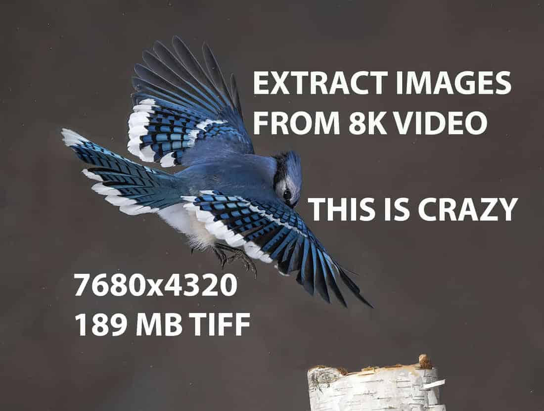 Topaz Video Enhance 8k Image Extract