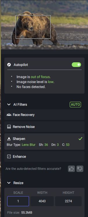 Topaz Photo AI Autopilot