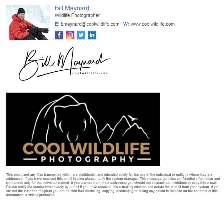 Photologo Email Signature