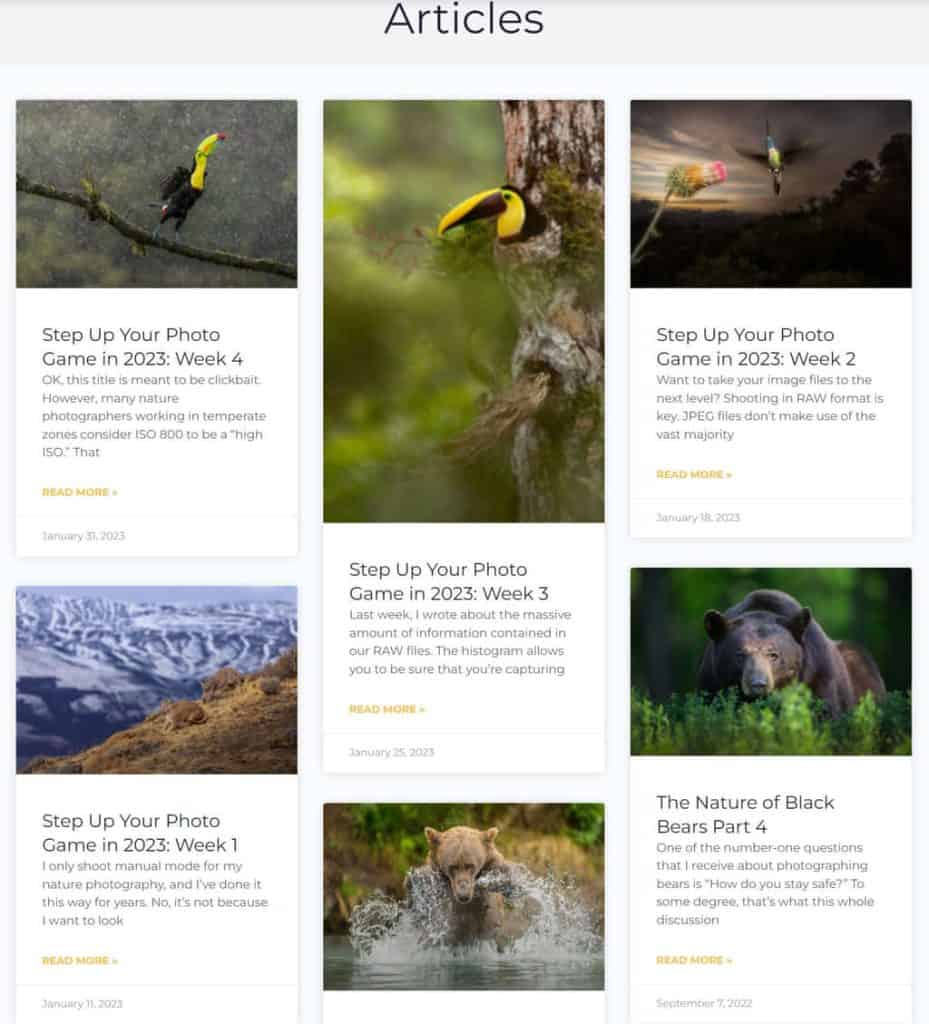 Journal of Wildlife Photography Articles