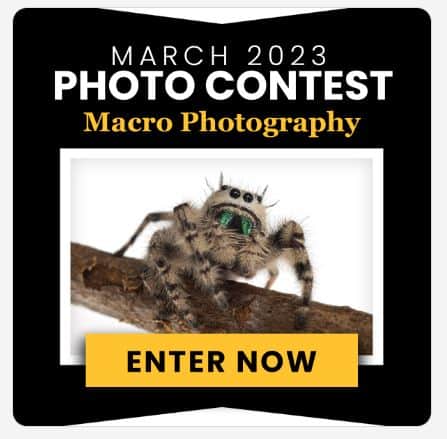 Journal Photo Contest