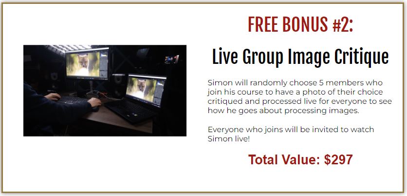 Free Image Review Bonus 2