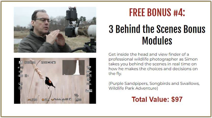 Three Behind The Scenes Modules Bonus 4