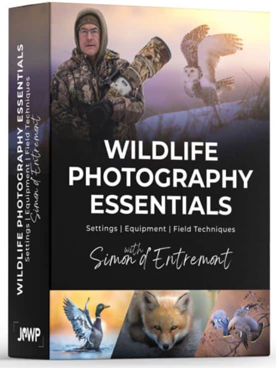 Simon d'Entremont Wildlife Photography Course