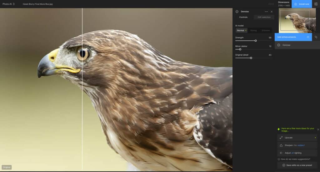 Topaz Labs Photo AI 3 User Interface