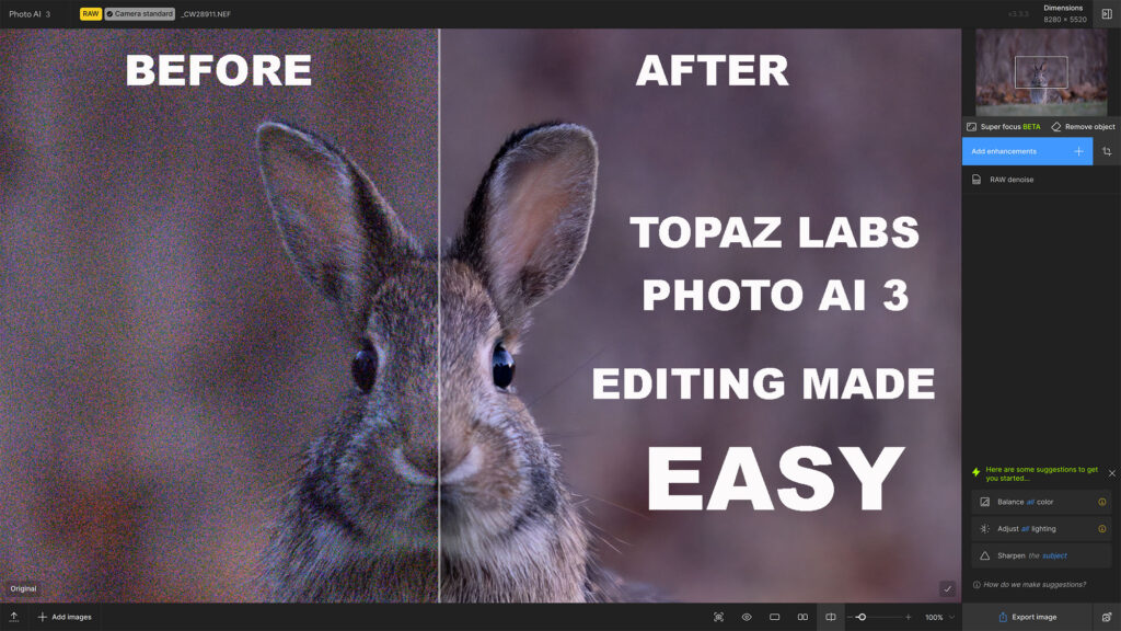 Topaz Labs Photo AI 3 Review