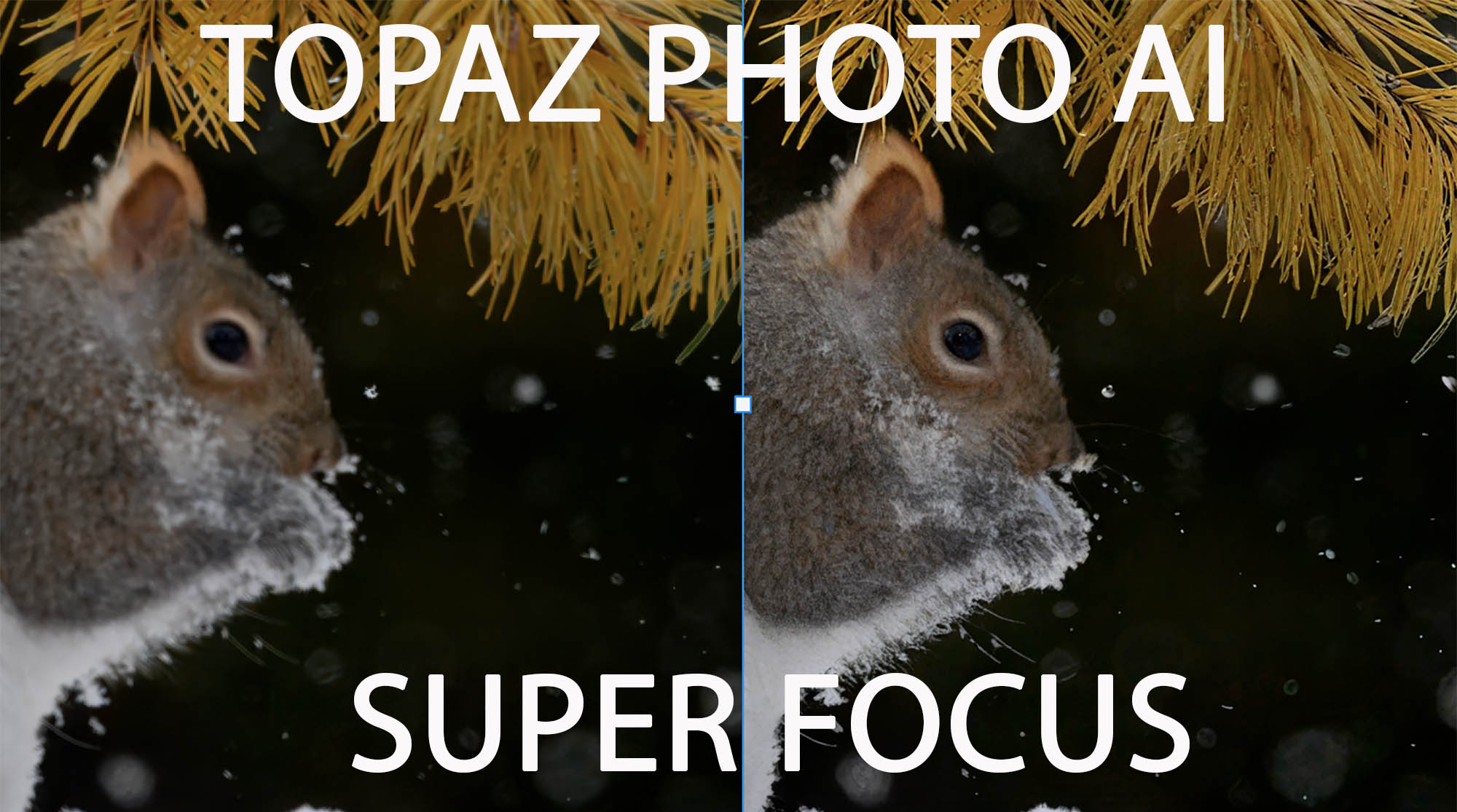 Topaz Photo AI Super Focus