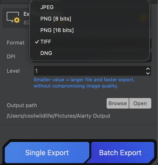 Aiarty Image Enhancer Export Options