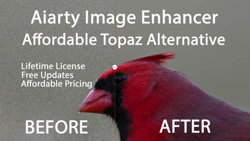 Aiarty Image Enhancer Topaz Photo AI alternative