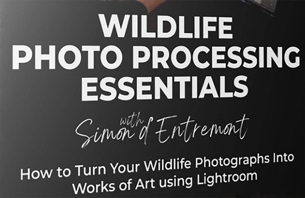 Lightroom Course for Wildlife Photographers