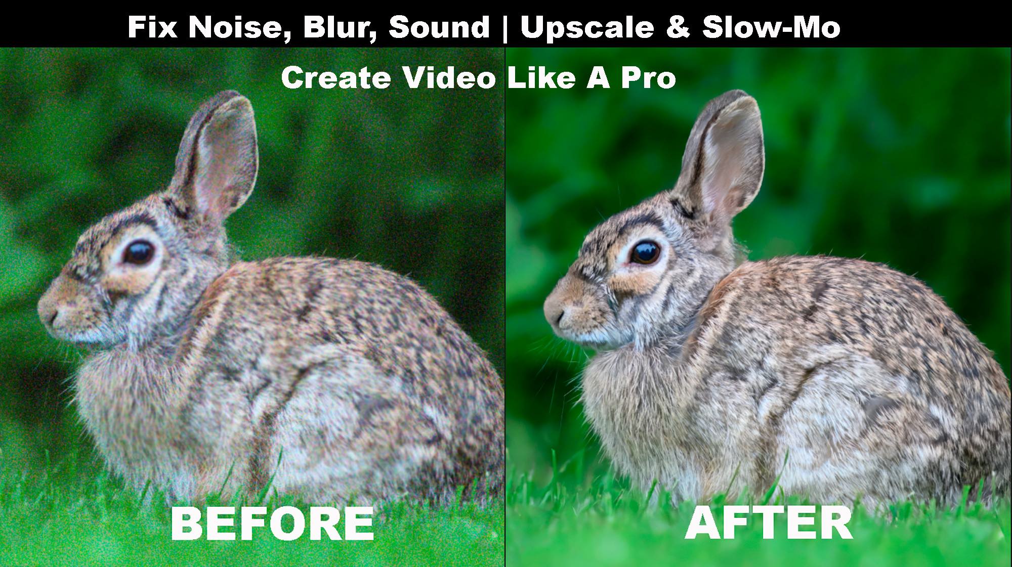 Aiarty Video Enhancer Feature Image