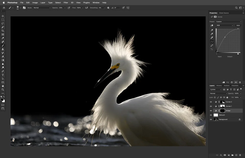 Curves hue saturation wildlife photo editing interface