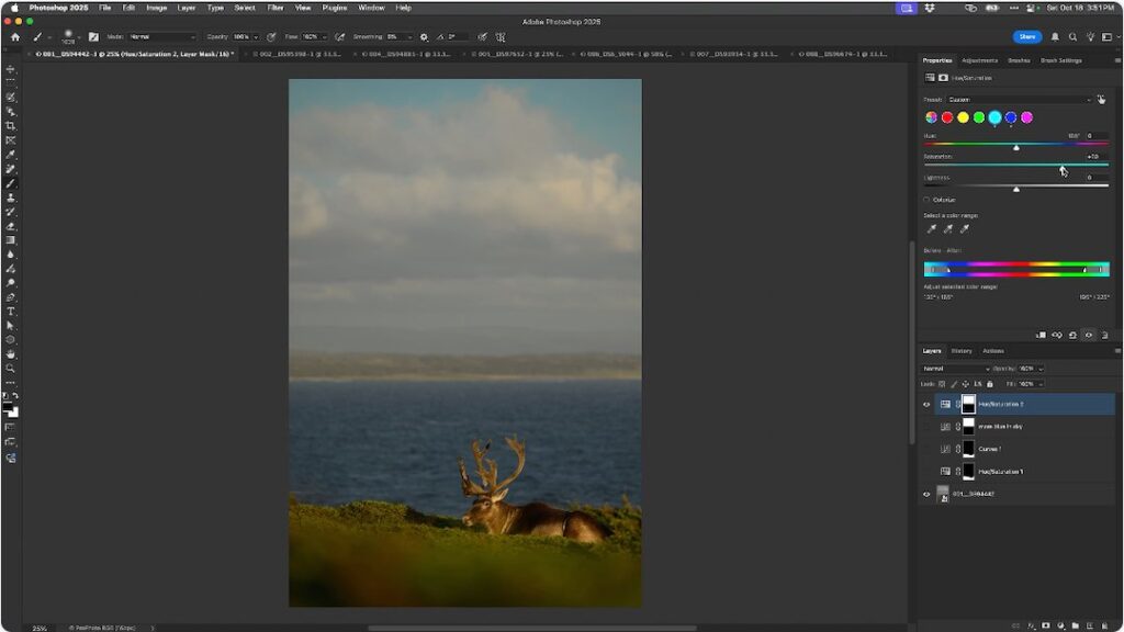 Ray Hennessy's Photoshop Course for Wildlife Photographers - Layers, Masks and Non-Destructive Editing