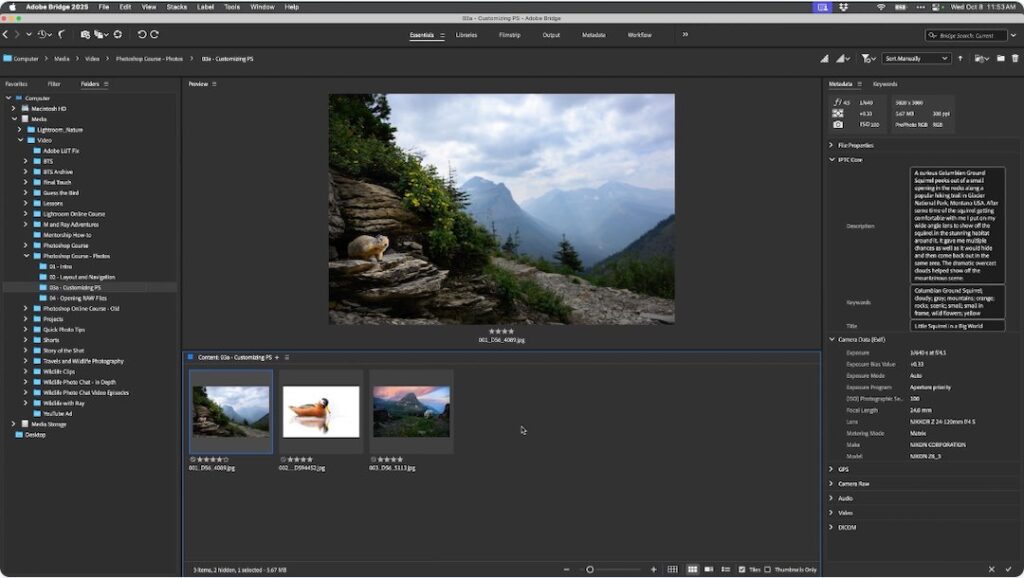 Ray Hennessy's Photoshop Course for Wildlife Photographers - Getting Started With Photoshop