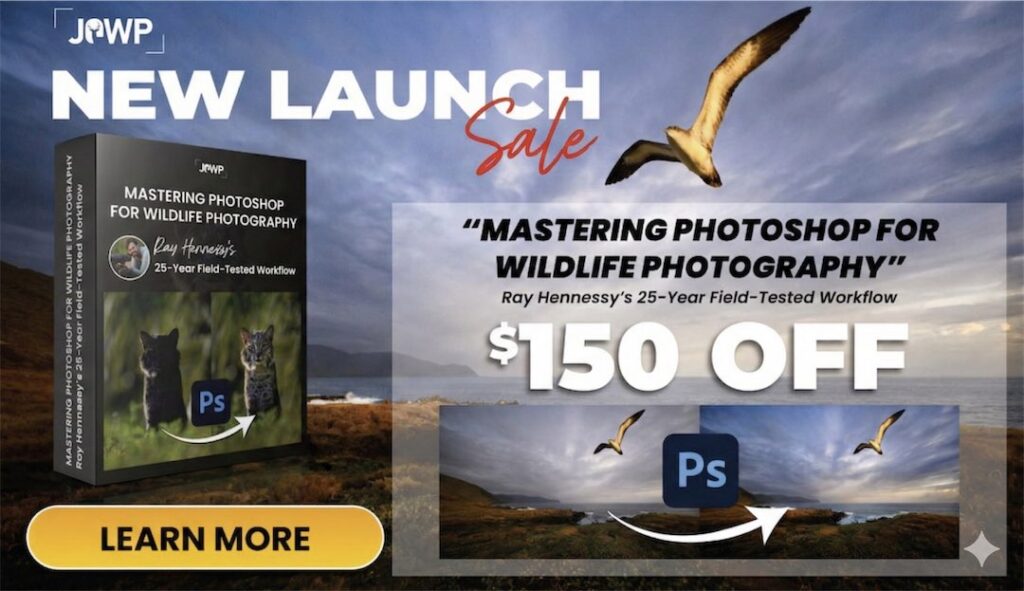 Ray Hennessy Photoshop Course for Wildlife Photographers