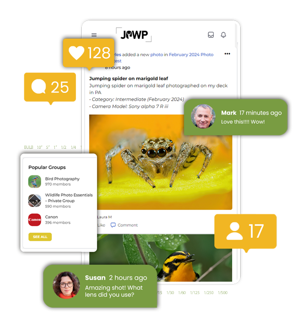 Journal of Wildlife Photography Community