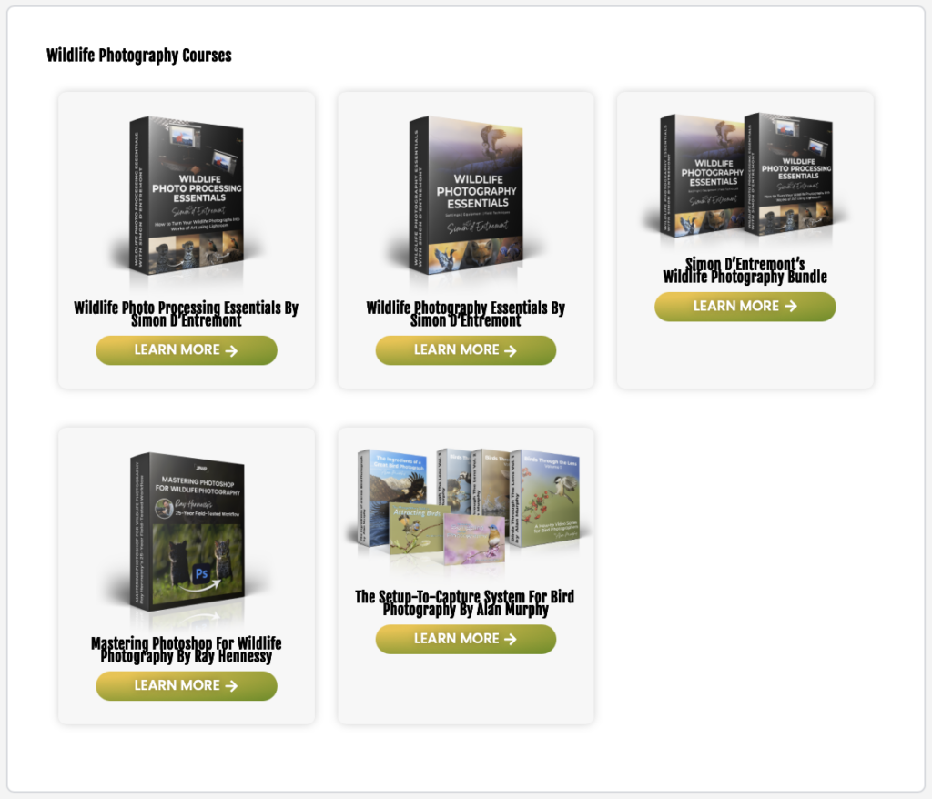Journal of Wildlife Photography Courses