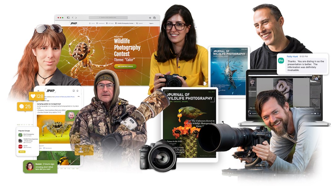 Journal of Wildlife Photography Is It Worth It