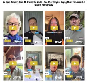 Journal of Wildlife Photography Testimonials