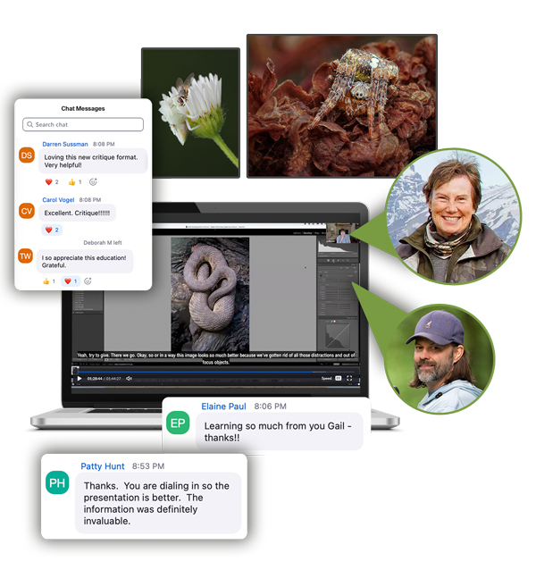 Journal of Wildlife Photography Live Image Critiques