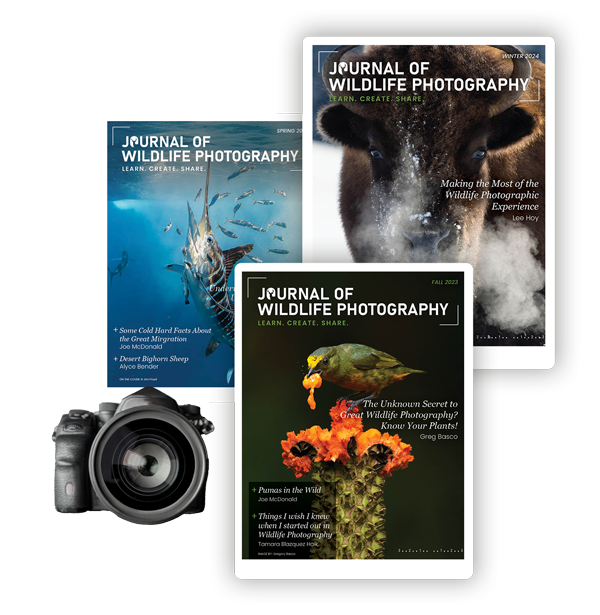 Journal of Wildlife Photography Digital Magazine