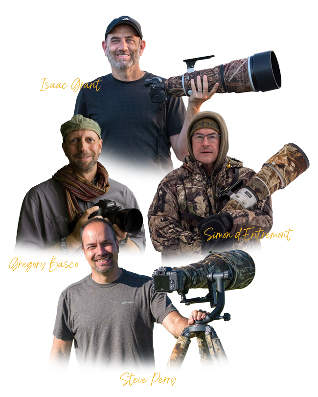 Journal of Wildlife Photography Monthly Training
