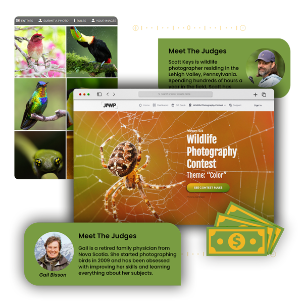 Journal of Wildlife Photography Photo Contest