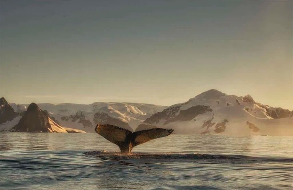 Cristina Mittermeier Photography Course
